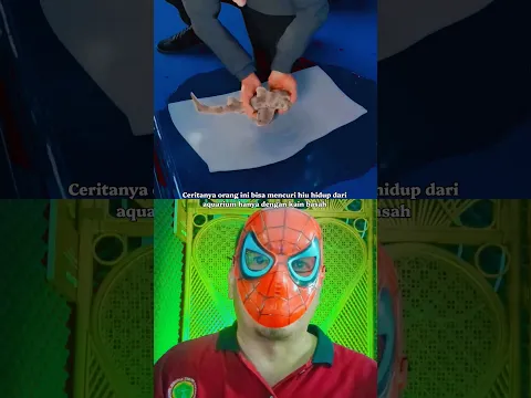 CARA PINDAHKAN HIU DENGAN KAIN BASAH # #education #physics @zackdfilms