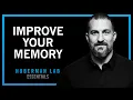 Understand Improve Memory Using Science-Based Tools Huberman Lab Essentials