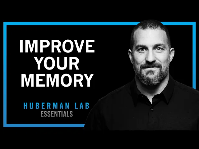 Video: Understand & Improve Memory Using Science-Based Tools | Huberman Lab Essentials