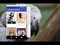 RecyclerView with StaggeredGridLayoutManager