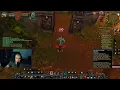 LEVELING A Paladin In Classic WoW Vs WOTLK Classic