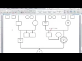 Create Your Genogram