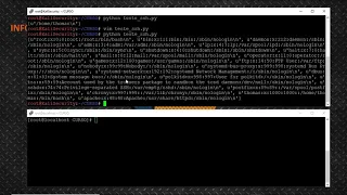 Brute Force no SSH com Python