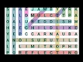 word search difficult level