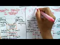 Transaction Execution Centralised Distributed Systems Lec-59 Bhanu Priya