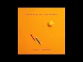 Spank Rock feat. Big Freedia - Nasty (SCNTST Remix - Boys Noize Re-Did) (Official Audio)