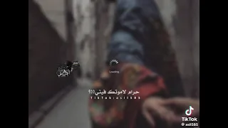 ان اوريك من عيني حالات واتس اكسبلور حلات متابعه تصميمي جديدي جديد عود اغاني يمنية اشتراك 