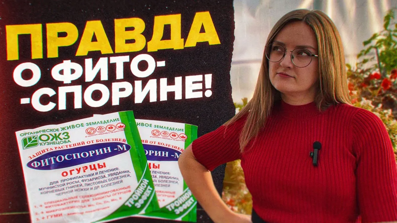 ВСЕ О МИКРОБИОЛОГИЧЕСКИХ УДОБРЕНИЯХ И ПРЕПАРАТАХ