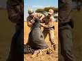 Download Lagu 🆘 A giant parasite was suffocating this cheetah until rescuers arrived just in time...