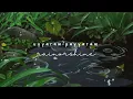 Zia Ul Haq - uyyaram payyaram (slowed down)