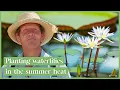 Download Lagu Monty Don Shares His Summer Gardening Secrets!