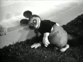 Download Lagu Babes in Toyland (1934) - Cat and the Fiddle \u0026 Mickey