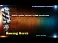 Download Lagu Bawang Merah Karaoke Tanpa Vokal MP3