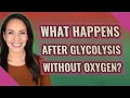 What happens after glycolysis without oxygen