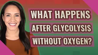 What happens after glycolysis without oxygen