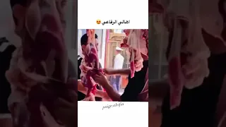 صباح الرفاعي الرفاعي لاتنسوا الاشتراك في القناة وتفعيل الجرس مدينه الرفاعي 