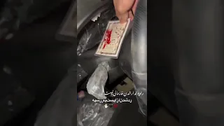 شوتی قاچاقچیان غرب شرق جنوب شتاب سرعت قدرت هیجان زندگی وحشی Xantia گرگ Elx Like Live 