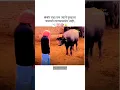 Download Lagu खंबीर राहा पण ज्याने तुम्हाला वाढवले...! New whatsapp #marathi #status #motivational #shortvideo
