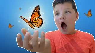 bug hunt at the butterfly palace caleb found a giant bug 