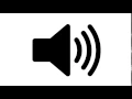 SHOTS FIRED SOUND EFFECT