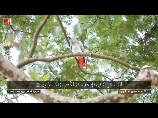 ⁣قَالُوا رَبَّنا غَلَبتْ عَلَيْنَا شِقوَتُنَا وَكُنّا قَوْمًا ضَالّينَ .. || الشيخ محمد صديق المنشاوي