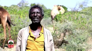 Karrayyuu Biratti Loon Godaansisuun Aadaa Moo Barsiifata 