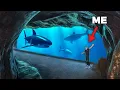 Enter America s LARGEST Aquarium Underwater Zoo - Private Tour