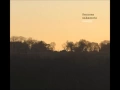 Download Lagu Fennesz + Sakamoto - Cendre (Full Album)