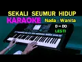 Download Lagu SEKALI SEUMUR HIDUP - Lesti | KARAOKE Nada Wanita