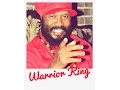 Download Lagu WARRIOR  KING ~ \