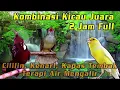 Download Lagu MASTERAN burung kenari mewah