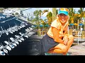 Dock Dine Adventure Boating to Circles Waterfront in Apollo Beach