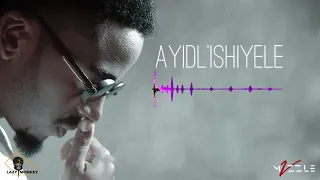 mvzzle ayidlishiyele feat lelo kamau 