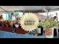 Shop with me at NC STATE FARMERS MARKET Grocery Haul