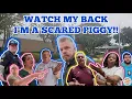 SCARED POLICE CHIEF GETS OWNED CITY MAYOR GET S CHECKED NICEVILLE FLORIDA FIRST AMENDMENT AUDIT