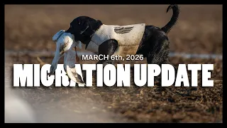 On the Move March 6th 2026 Waterfowl Migration Update Pt 1