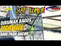 Lagu PERLU TAU SIAP LOMBA❗CUCAK IJO YANG HARIAN NGERIWIK MALAH  SIAP LOMBA DARI PADA GACOR||KICAUMANIA