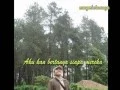 Download Lagu BERJALAN DIHUTAN CEMARA Ebiet G Ade