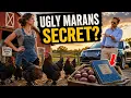 He Laughed at Her Ugly Marans Chickens Until Their Chocolate Eggs Saved the Farm