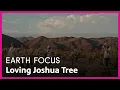 Loving Joshua Tree Earth Focus S5 E4