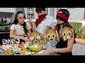Download Lagu Gatuajmë pa i përdorur të gjitha shqisat! l O ME 3, O ME 8, EPISODI 41