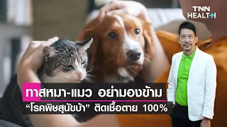 วัคซีนพิษสุนัขบ้าสามารถป้องกันโรคได้อย่างไร และควรฉีดก่อนถูกกัดหรือหลังถูกกัดดีกว่า