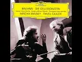 Brahms: Cello Sonata No. 1 in E Minor, Op. 38: I. Allegro non troppo