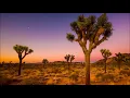 U2 - Where The Streets Have No Name (lyrics)