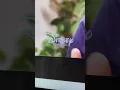 Disney Channel screen bug animation 2025 fan made