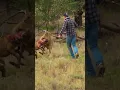 Download Lagu Pet Parent Rescues Pup From Kangaroo Fight!