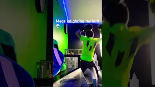 MEGA KNIGHTING MY BIRD 