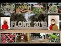 Lagu Berburu Tanaman di Pameran Tanaman Flona 2019 Part 1 💖 Ondel Ondel Komunitas DKI Jakarta
