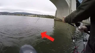 Fishing BRIDGES for Catfish - Catching Flathead and Blue Catfish on Bridge Pilings (Ft. Reel Beasts)