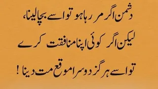 Rumi Quotes About Life | Sunheri Golden Word | Motivational Quotes for Success In Life | Urdu Poetry